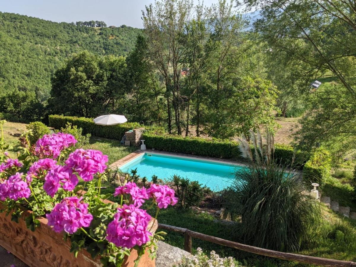 Agriturismo Casentino - Fattoria Ventrina Martina Экстерьер фото