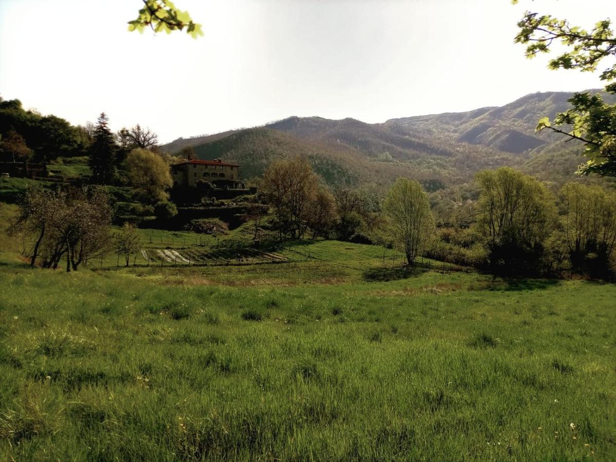 Agriturismo Casentino - Fattoria Ventrina Martina Экстерьер фото