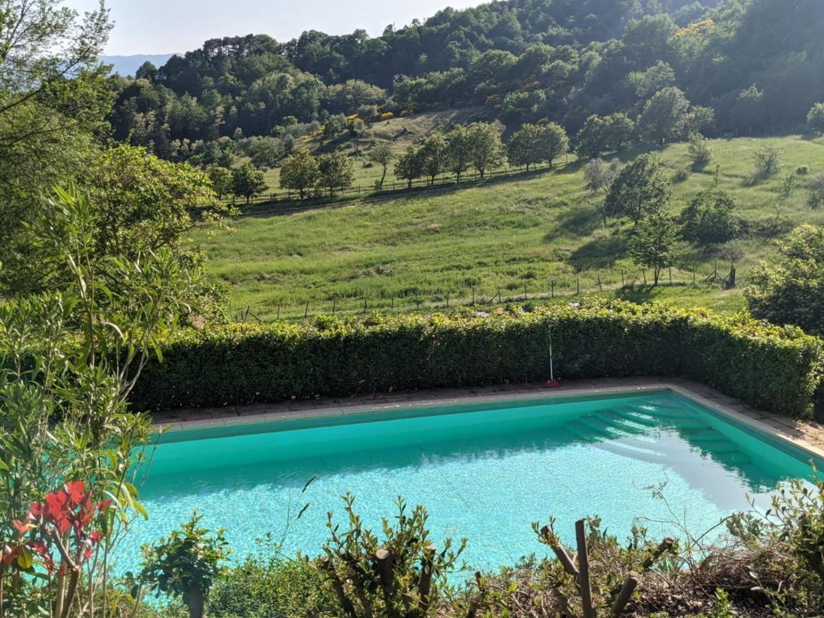Agriturismo Casentino - Fattoria Ventrina Martina Экстерьер фото
