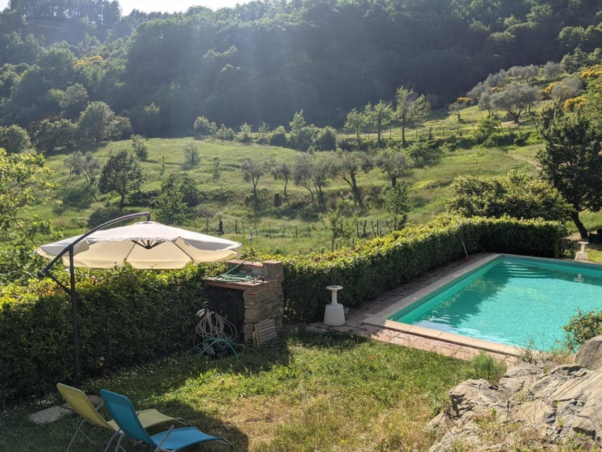 Agriturismo Casentino - Fattoria Ventrina Martina Экстерьер фото