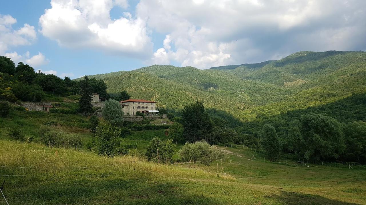 Agriturismo Casentino - Fattoria Ventrina Martina Экстерьер фото